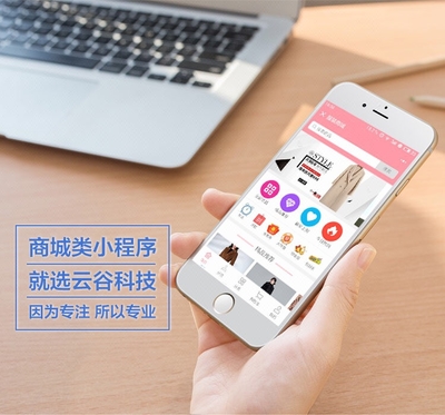 微信小程序拼團(tuán)商城平臺(tái)定制開發(fā)開發(fā)云APP開發(fā)