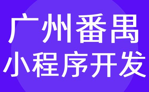 廣州番禺區(qū)系統(tǒng)開發(fā) 微信小程序制作定制 外包 紅匣子科技