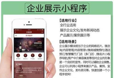小程序定制開發、微信公眾號、推廣排名、吸粉